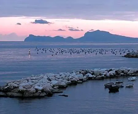 Terrazze Del Lungomare Panzió 3*